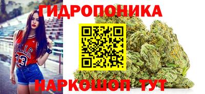 apvp Пугачёв