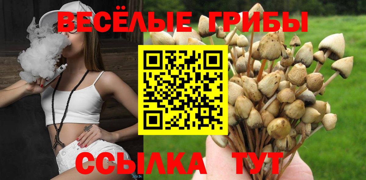 Пушкино  Галлюциногенные грибы Cubensis  Галлюциногенные грибы ЛСД  Вход с VPN 